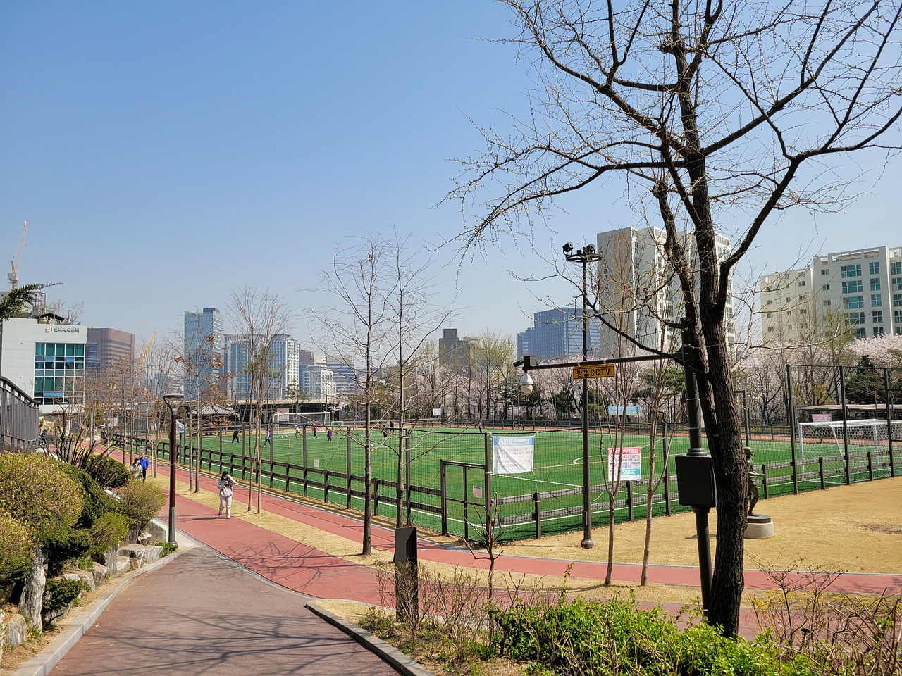 留学