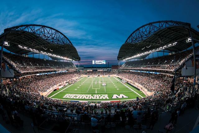 这显示了面 这显示了面