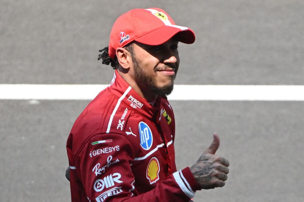 毛球领域的 毛球领域的