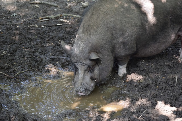 年间创造了 年间创造了