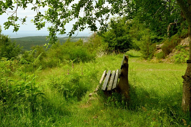 巴拿马与中 巴拿马与中